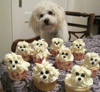 Dogs Cupcake