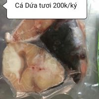 CÁ DỨA TƯƠI